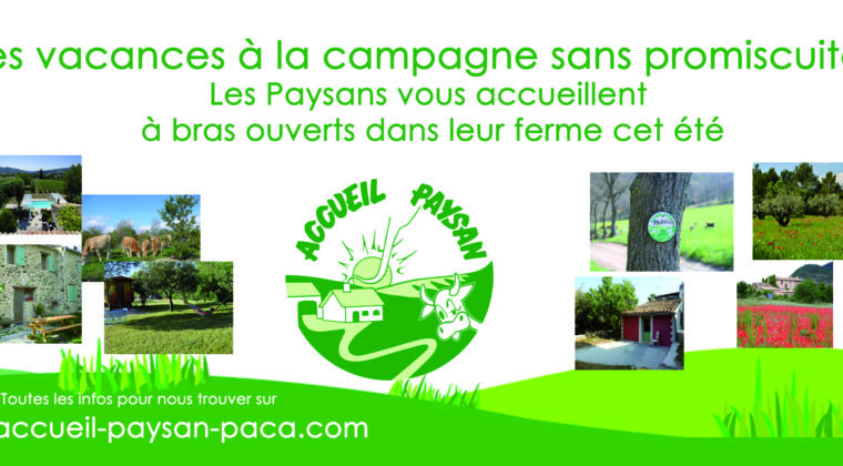 INFO COVID 19